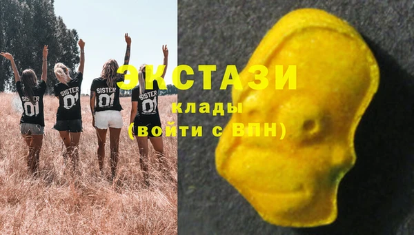 ECSTASY Белокуриха